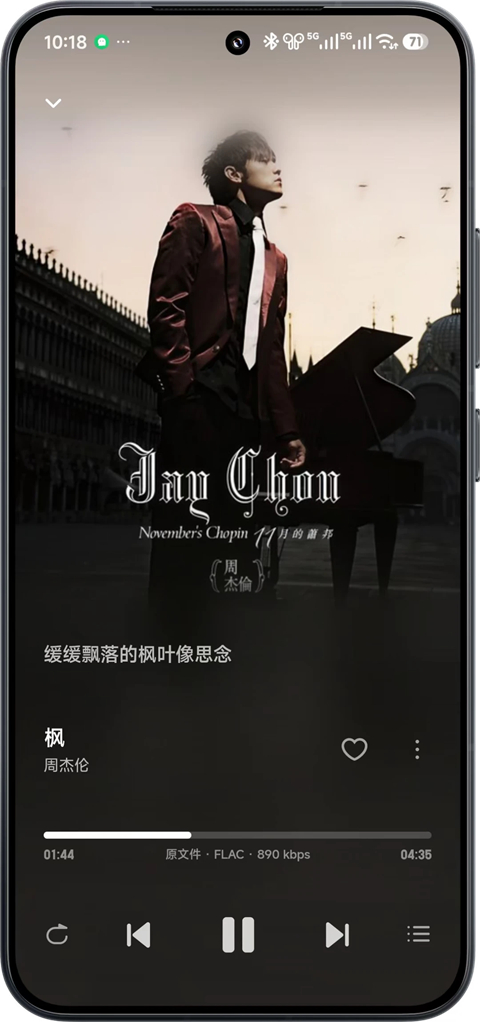 飞牛音乐安卓版 截图2