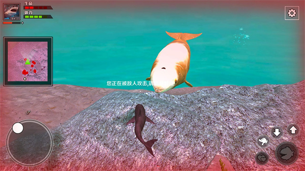 饥饿鲨鱼求生游戏 截图1