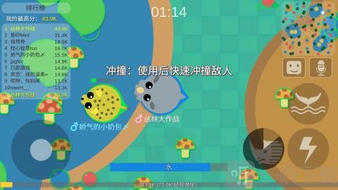 丛林大作战游戏 1