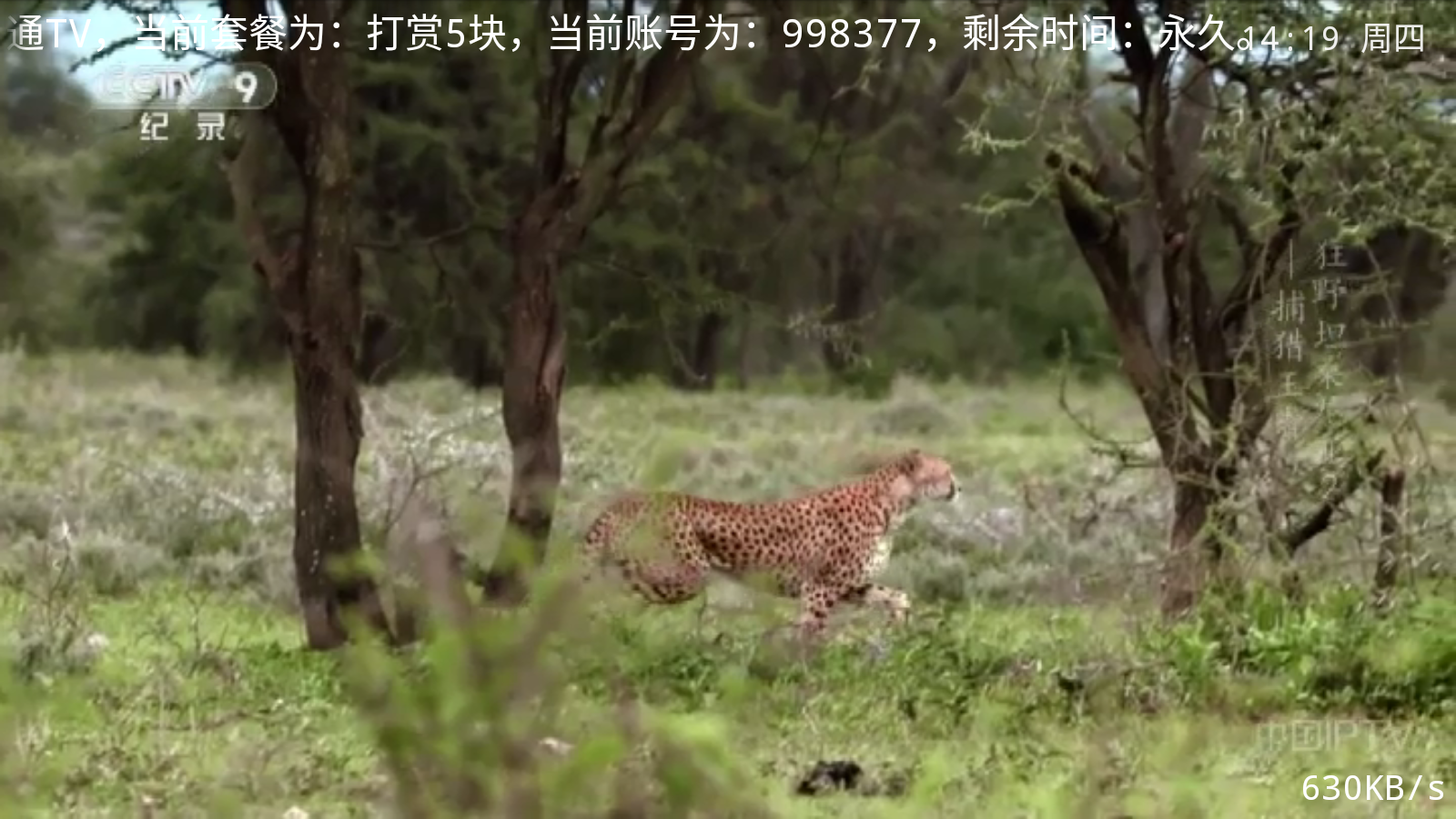 全网通TV 截图1