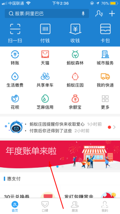 2025支付宝年度账单生成器 截图1
