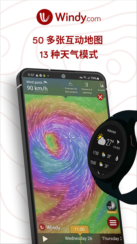 Windy官方正版 截图1