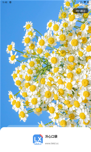 冷心口袋免费版 1