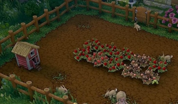 露玛岛正版 截图2