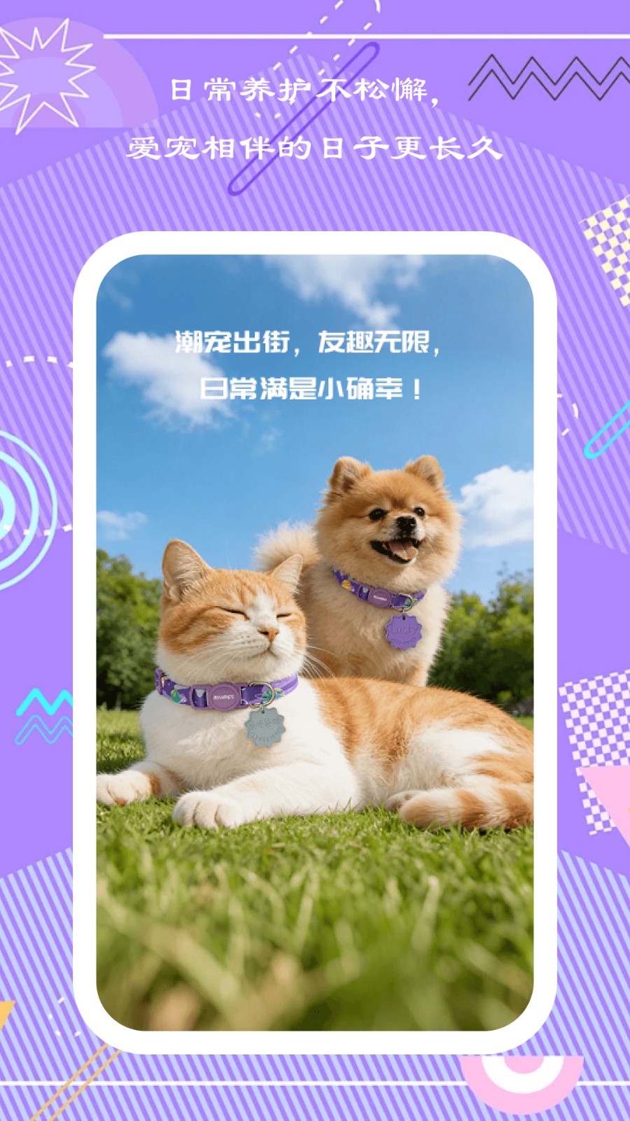 萌宠伴行 截图4