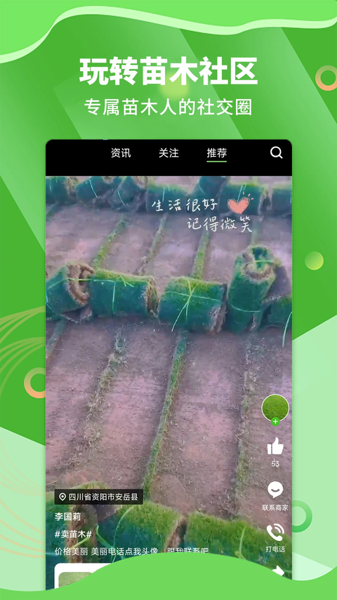 苗木通 1