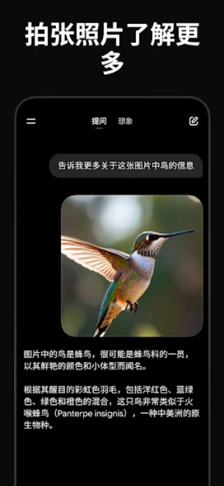 Grokai官方版 截图3