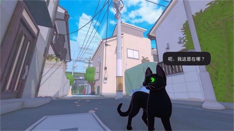 小猫咪大城市 截图1