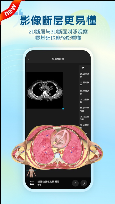 维萨里3D解剖 截图3