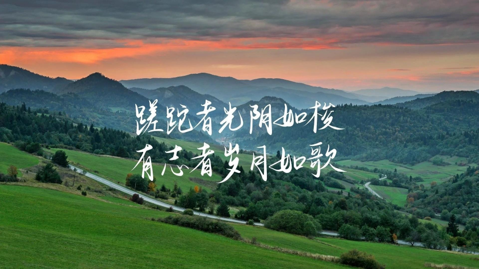 听风影视 1