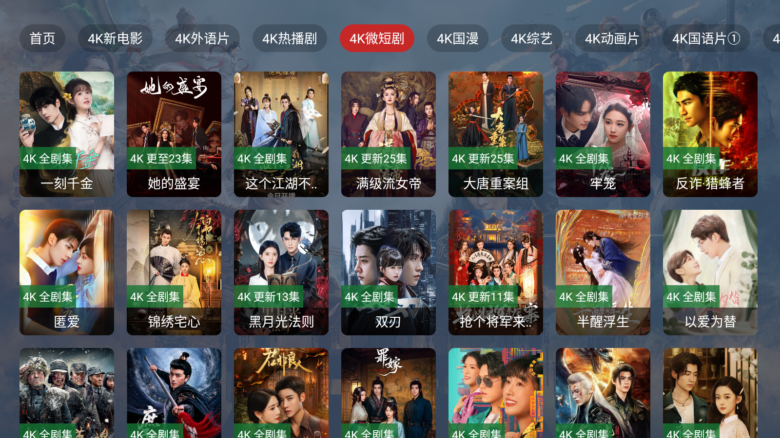 4k视界手机版 截图5