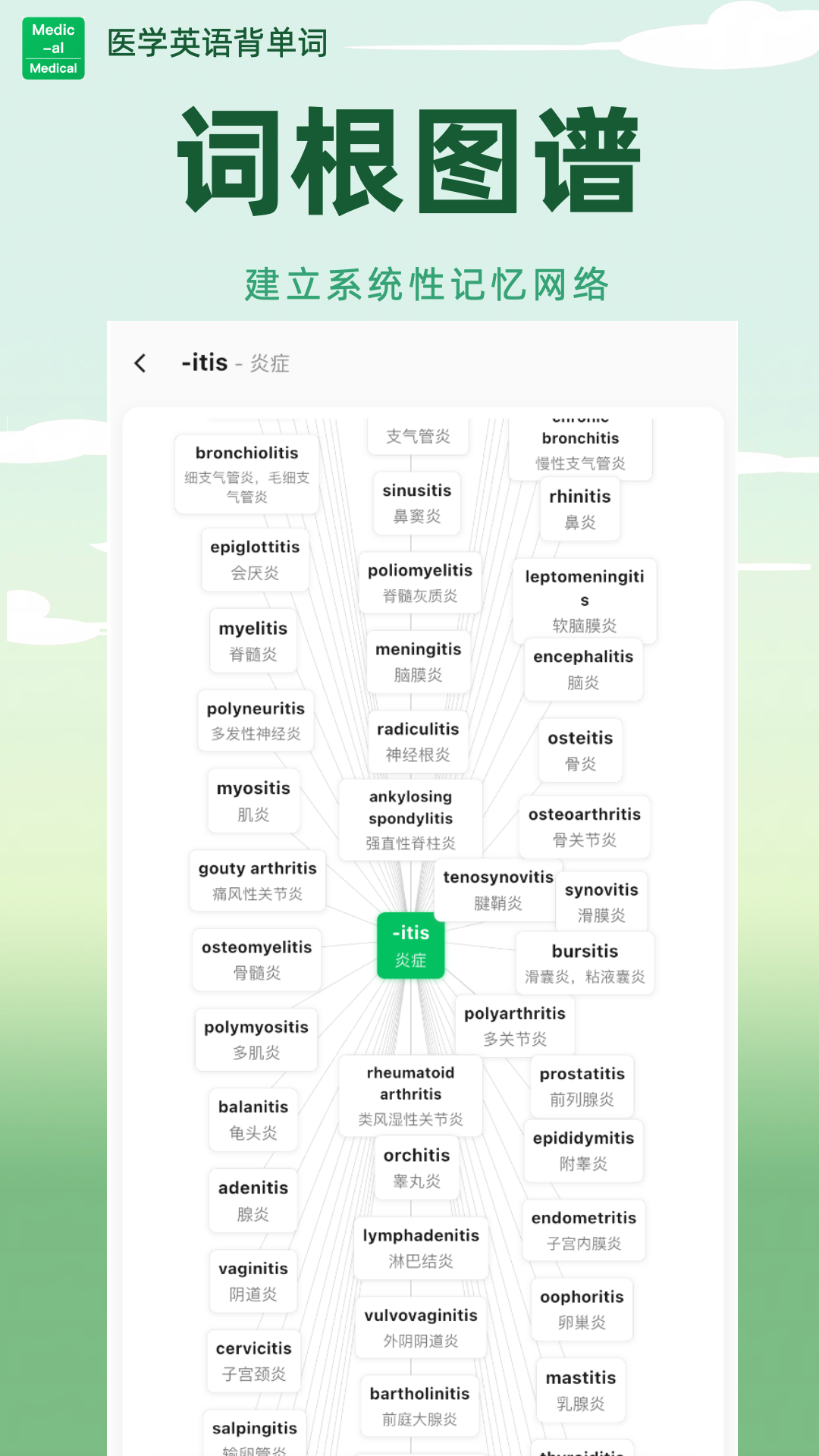 医学英语背单词 1