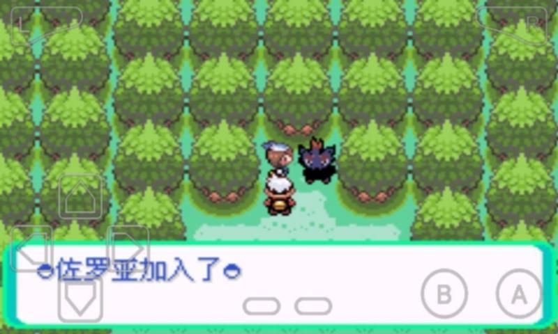 口袋妖怪漆黑的魅影安卓 截圖2