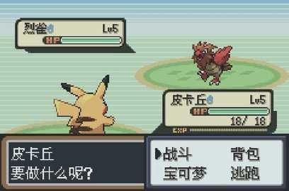 口袋妖怪圣灰漢化版 截圖3