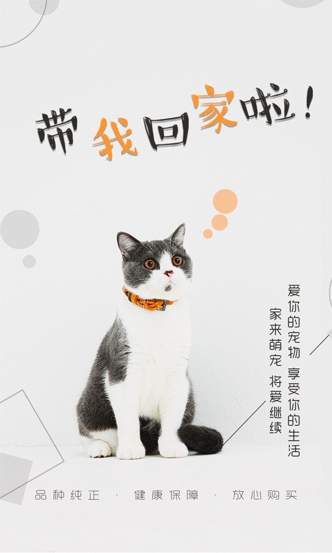 貓行狗市 截圖1