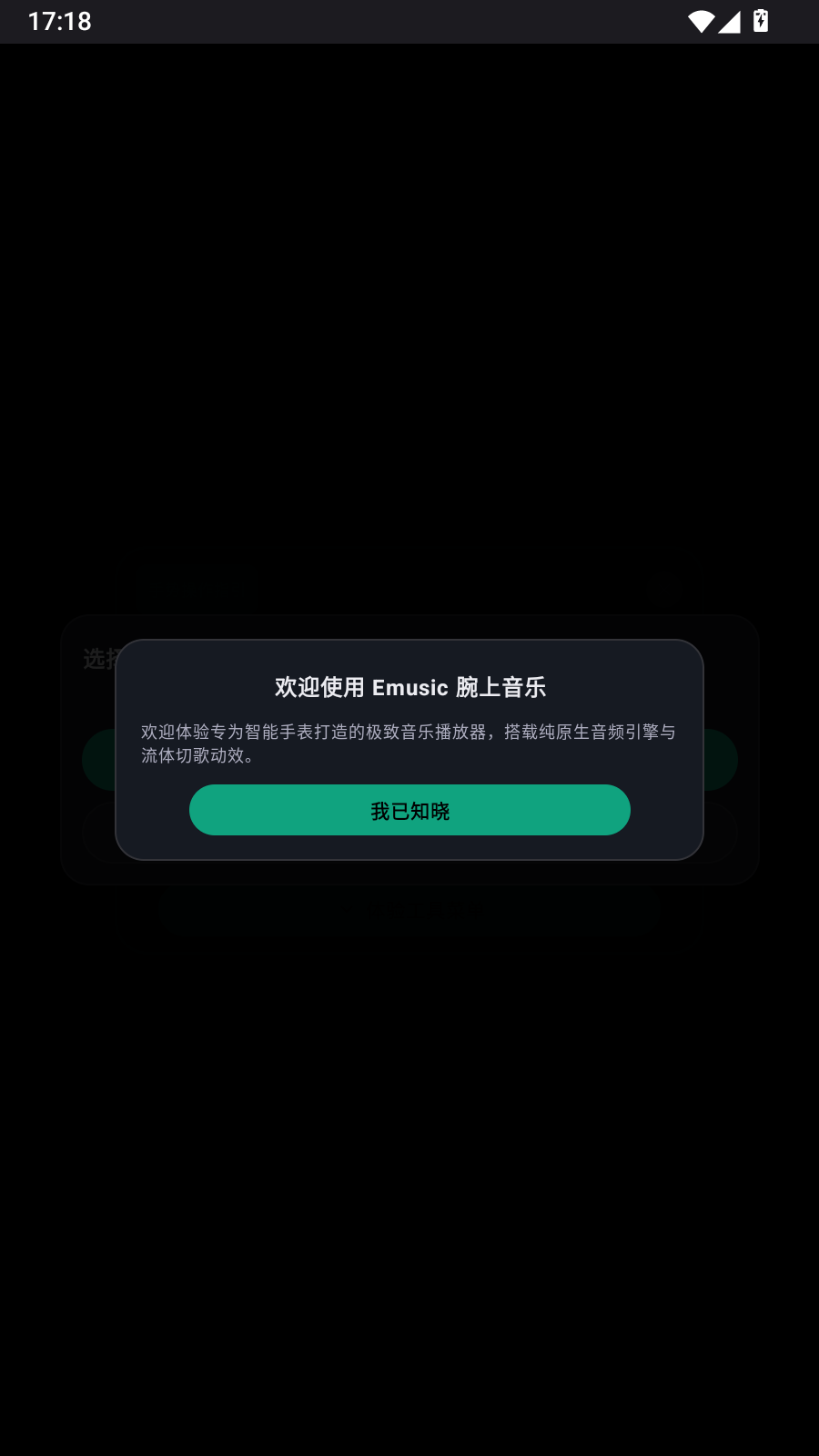 EmusicLite 截图5