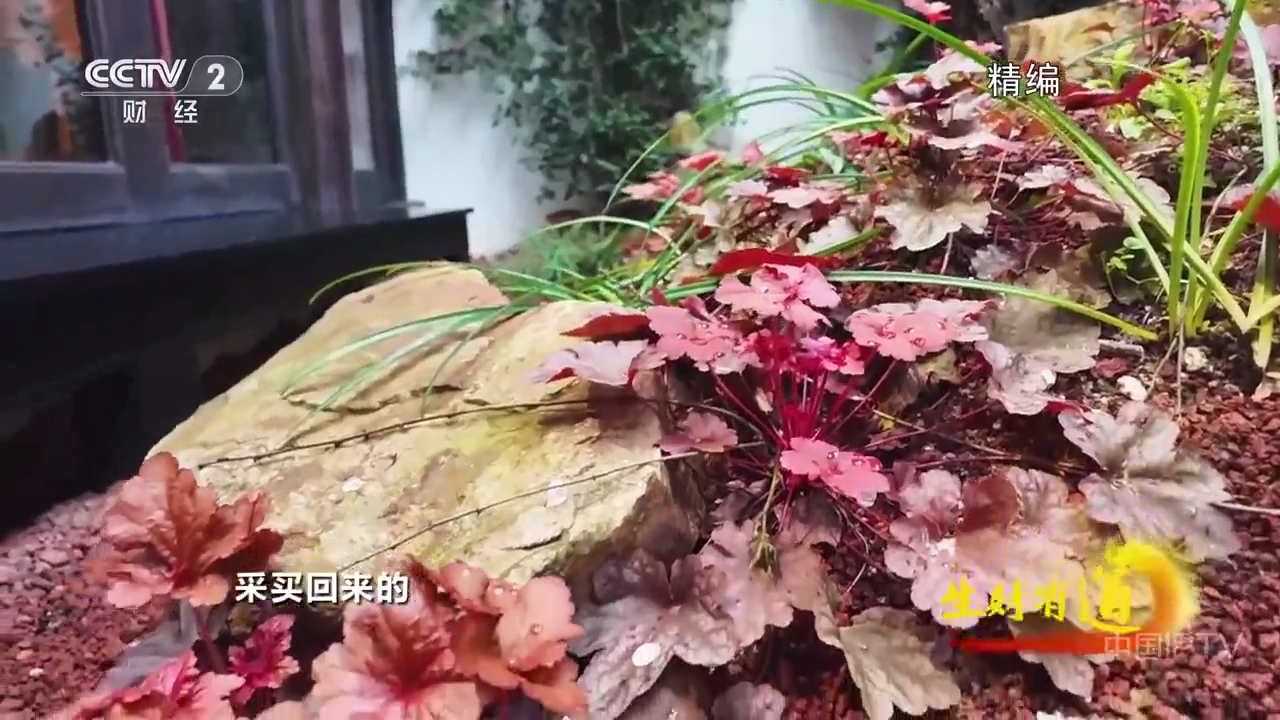 星辰电视 截图1