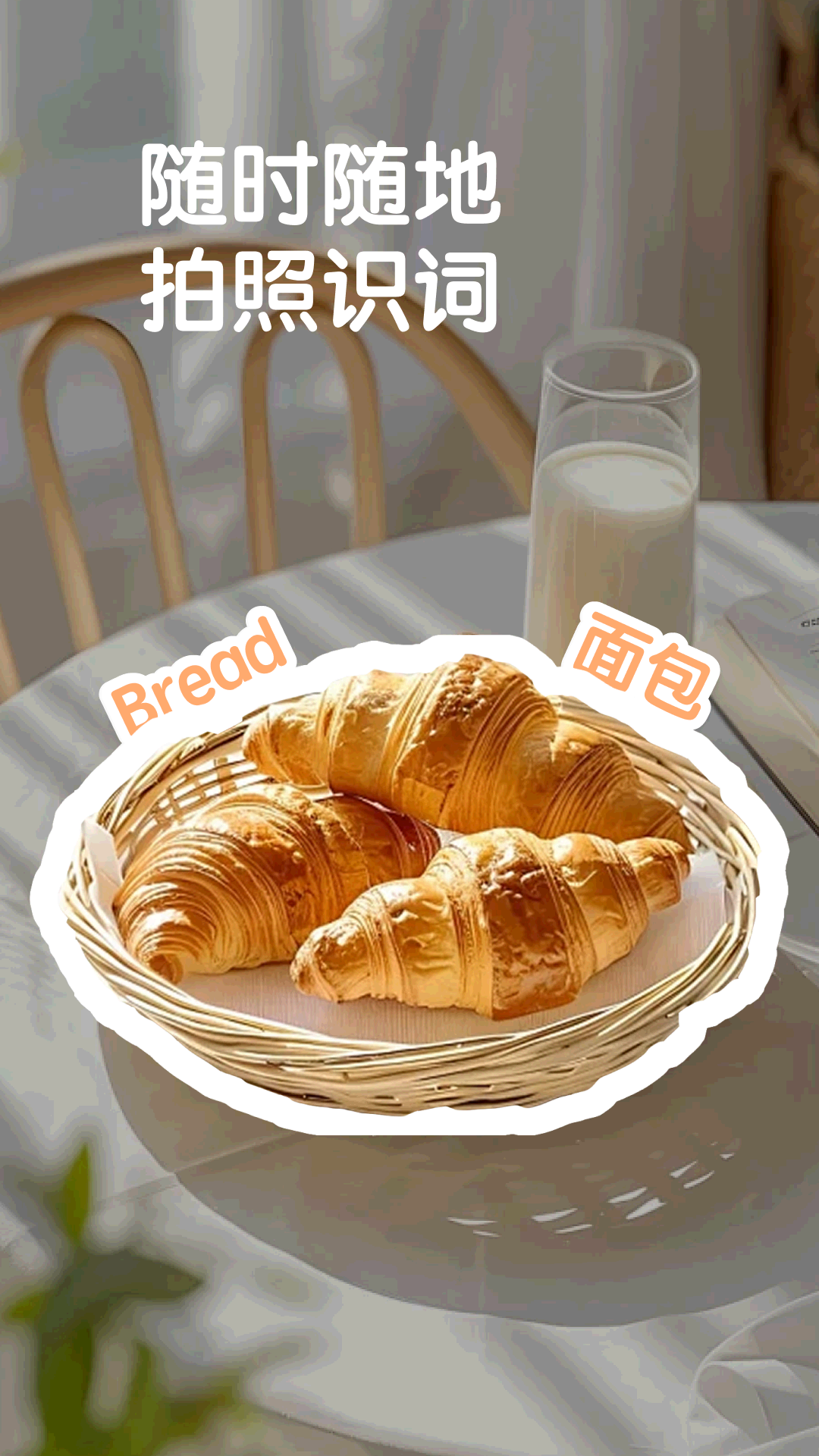 拍物识词 截图4