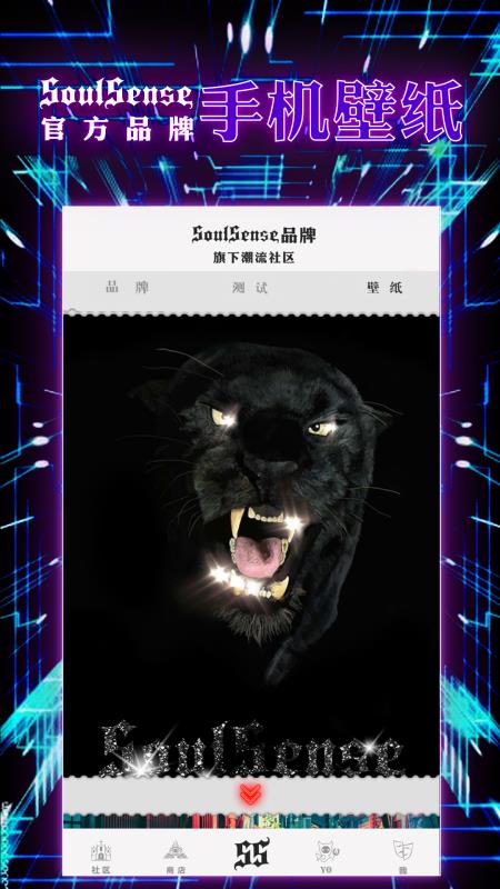 SoulSense 截圖3
