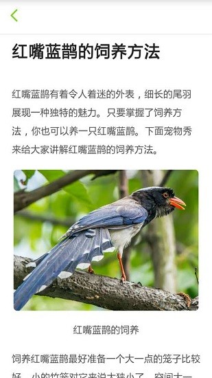 養鳥達人平臺 1.0 截圖3