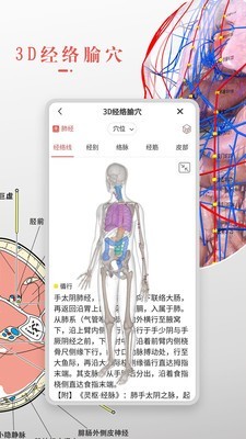 3d人体解剖学 截图4