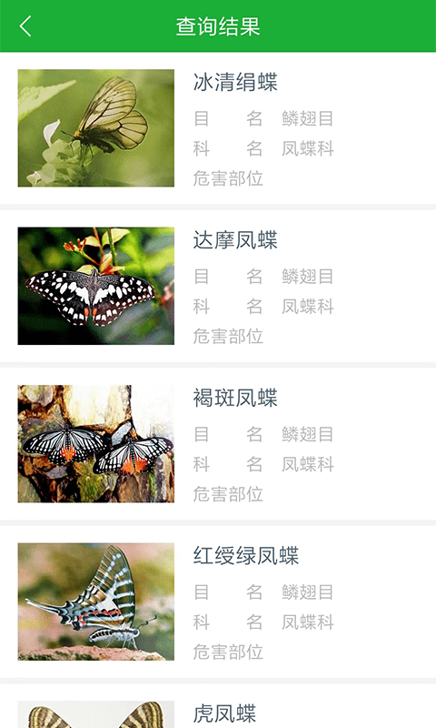 虫警appv2.2.6 截图3