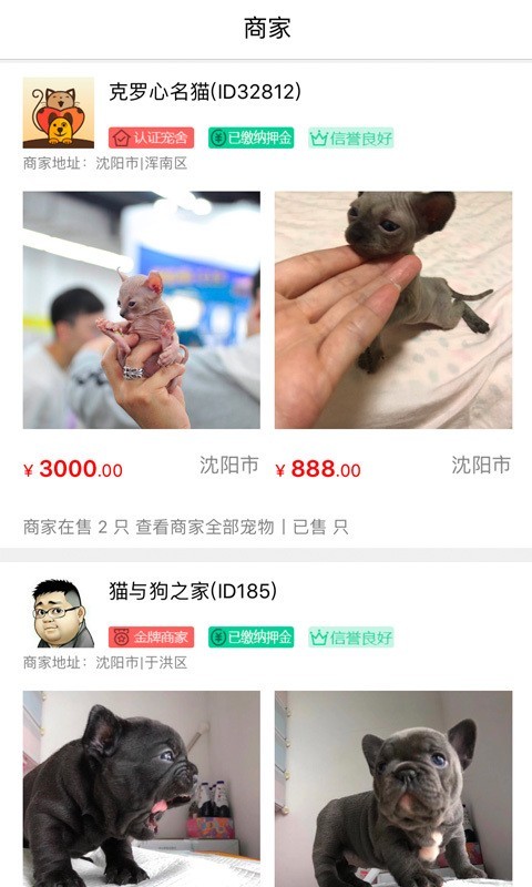 貓行狗市 截圖3