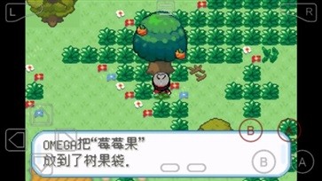 口袋妖怪劍盾正版 截圖1