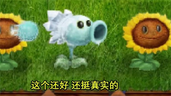 植物大战僵尸现实版 截图3