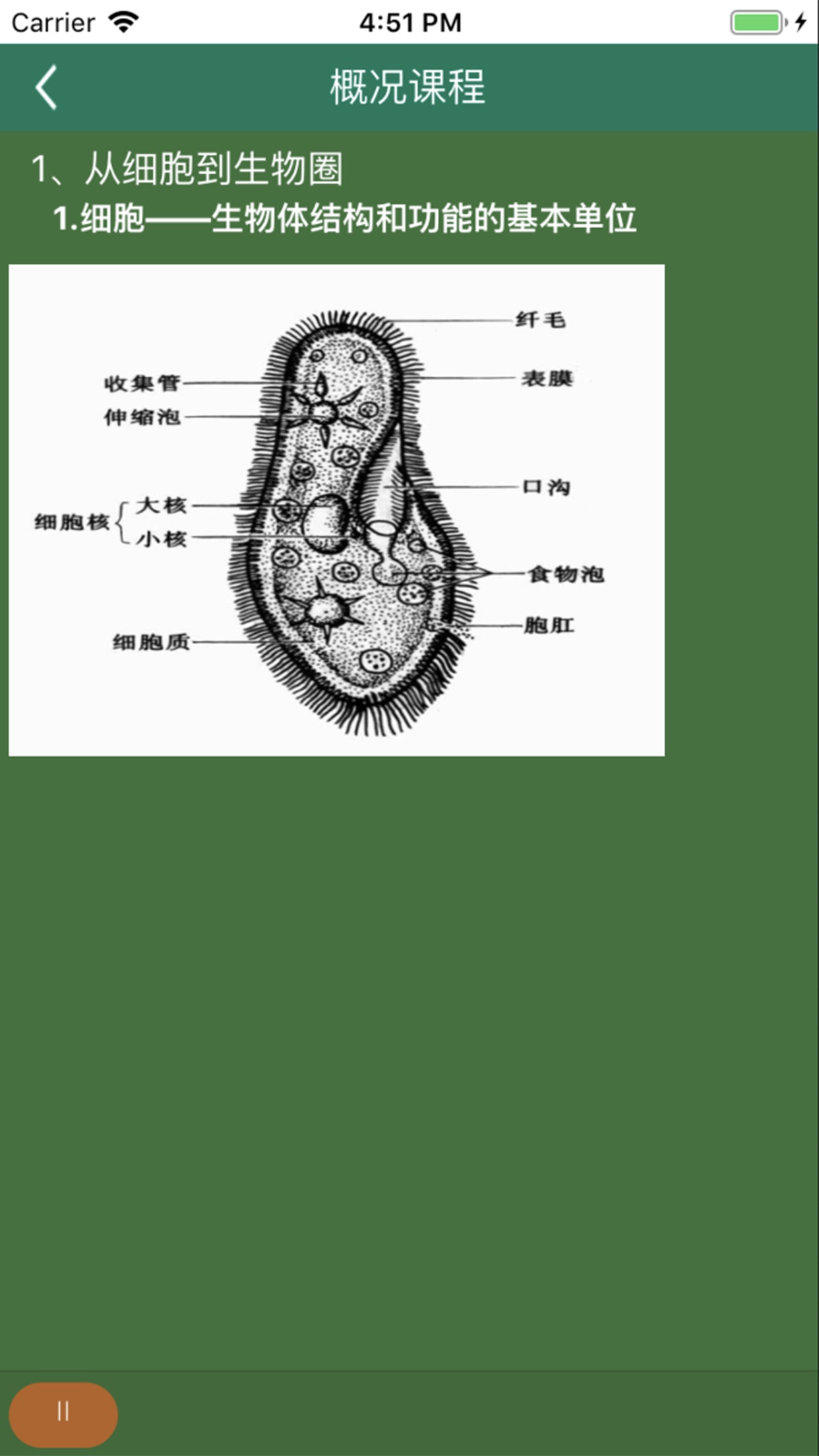 松鼠高中生物 截圖1