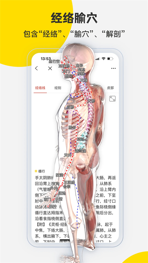 3dbody解剖 截图4