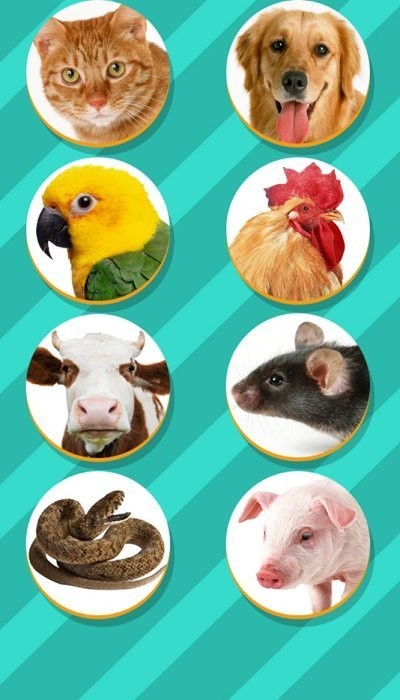 Pet Translator寵物對(duì)話翻譯器app 截圖2