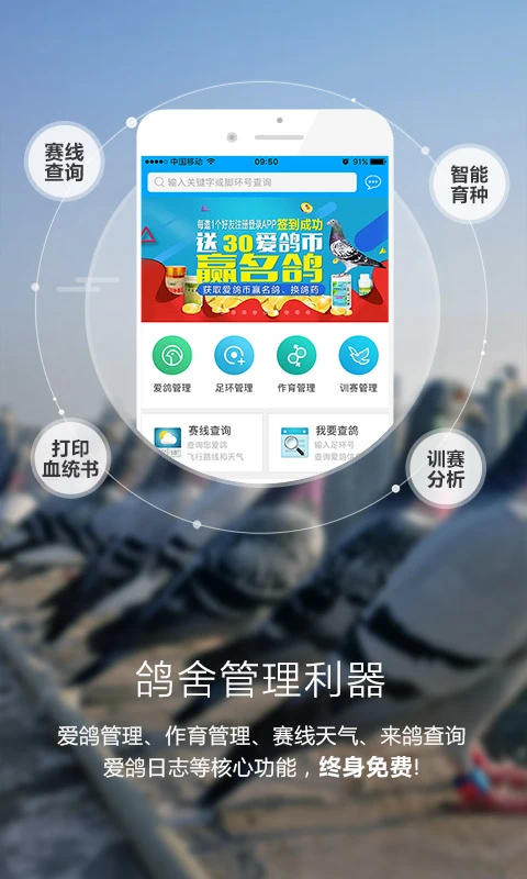 爱鸽者官方版 截图4