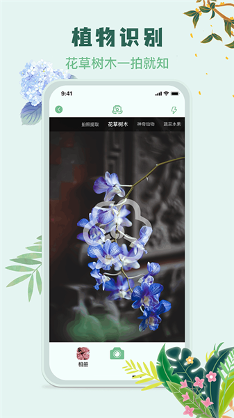 识花君app官方免费下载 截图3