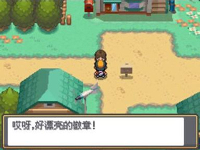 口袋妖怪心金漢化版 截圖2