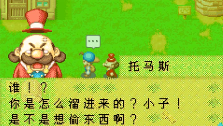 牧場物語礦石鎮的伙伴們完美漢化版 截圖3