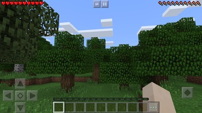 我的世界夏季版 截图2