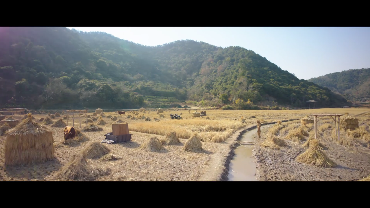 麒麟影视电视版 截图4