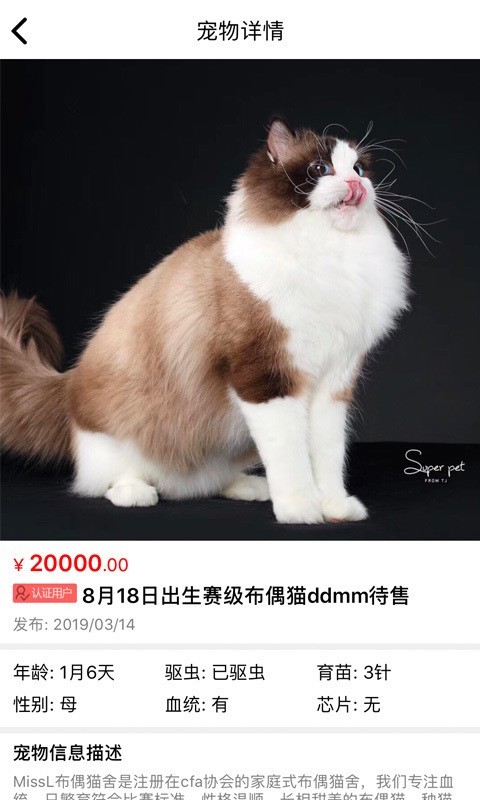 貓行狗市 截圖4