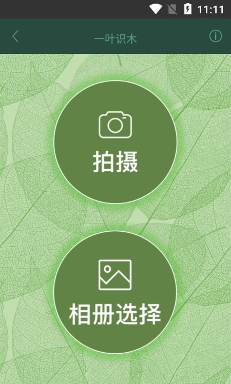 一叶识木 截图2