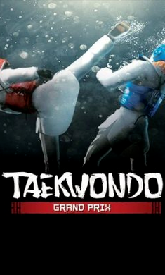 跆拳道大獎賽手機版 1