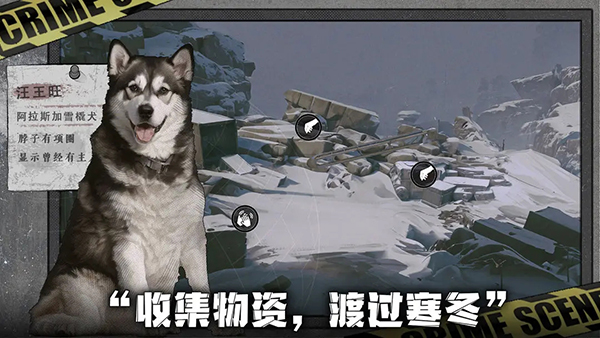 我在末日捡垃圾官方版 截图2