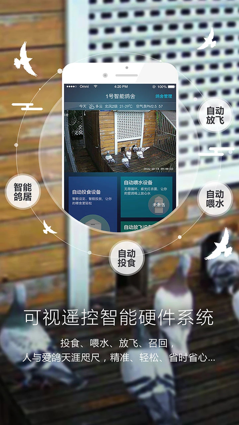 爱鸽者官方版 截图5