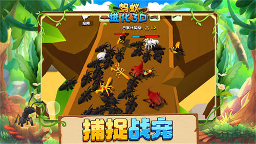 螞蟻進化3D最新版 截圖3
