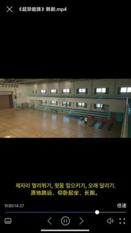 X字幕 截图1
