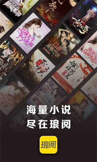 琅阅小说 截图1