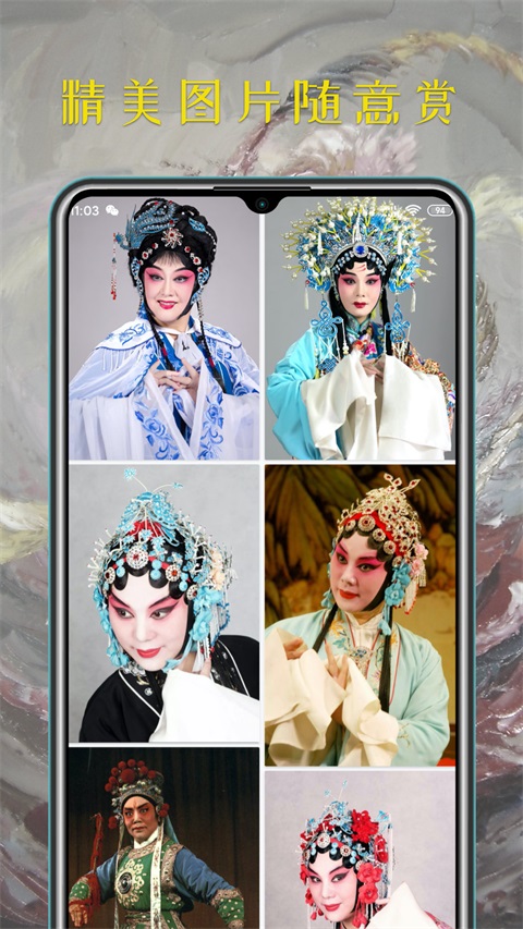 豫剧迷 截图4