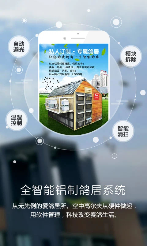 爱鸽者官方版 截图2