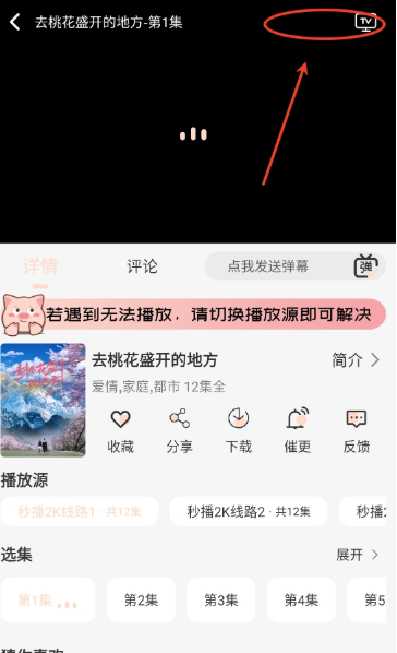 小猪4K追剧免费版 截图4