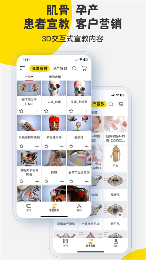3dbody解剖 截图2